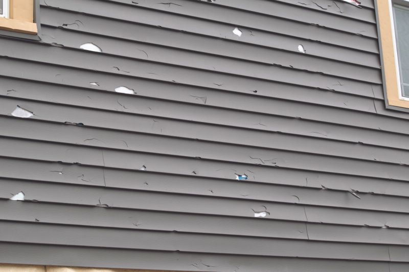 Siding Repair Project